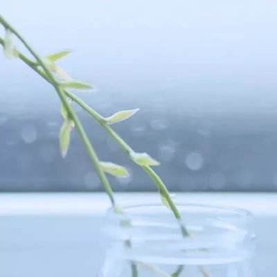 888电玩城游戏厅下载手机版